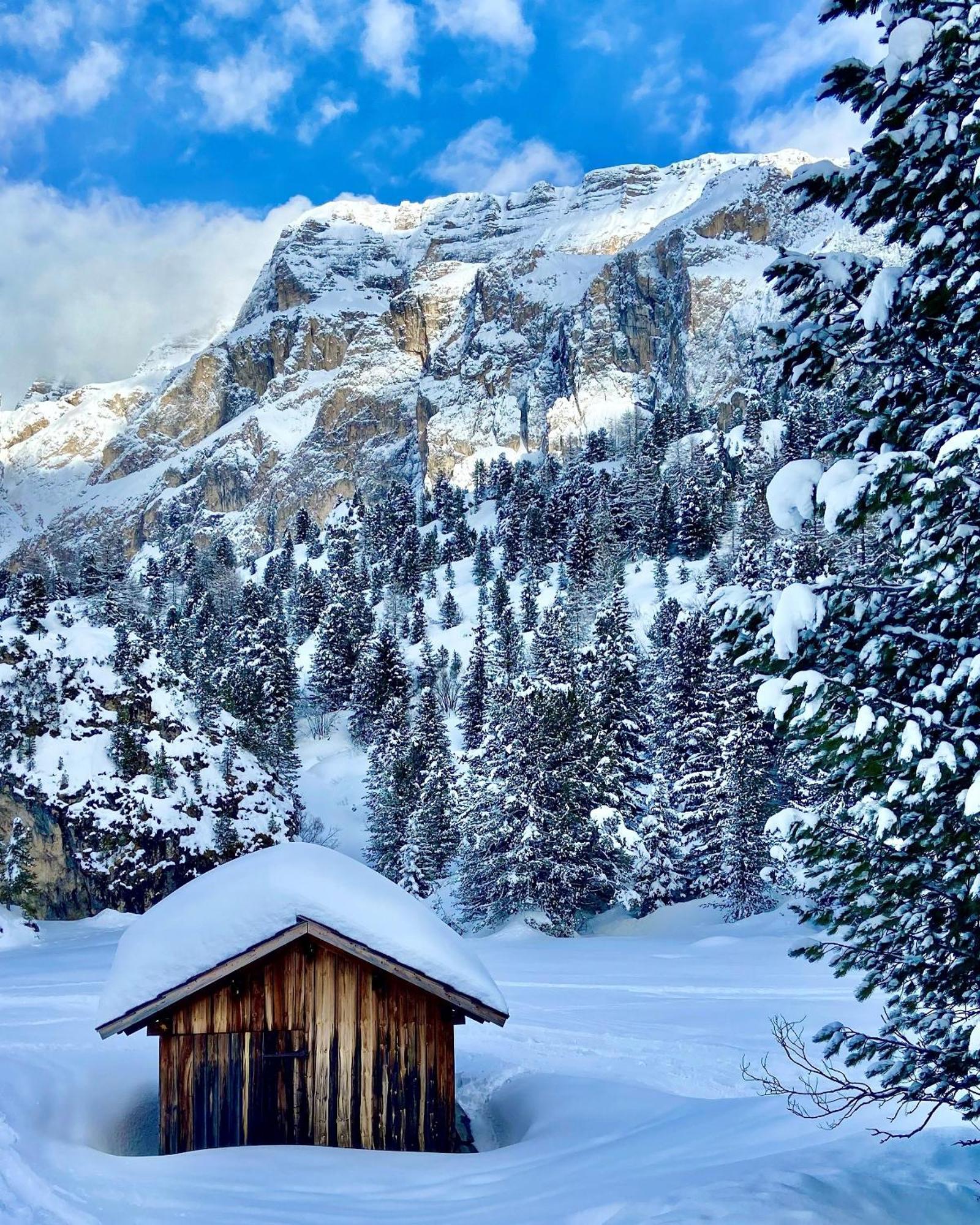 Cesa Vedla - Quite And Cozy Alpine Escape Ortisei Kültér fotó