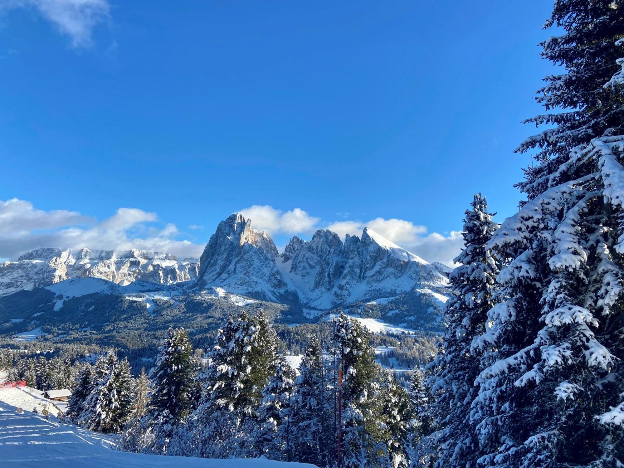 Cesa Vedla - Quite And Cozy Alpine Escape Ortisei Kültér fotó