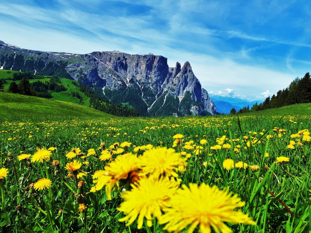 Cesa Vedla - Quite And Cozy Alpine Escape Ortisei Kültér fotó